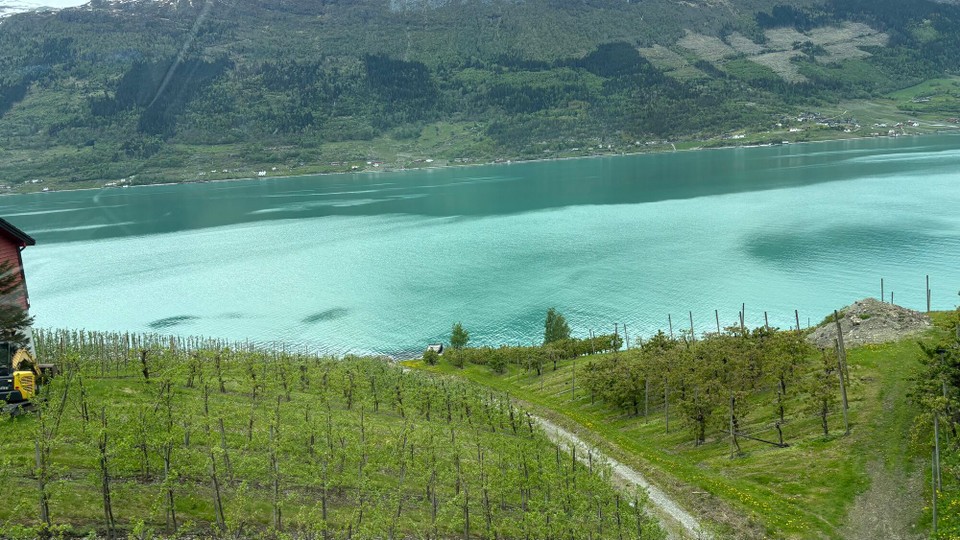 Norwegen - Mauranger - 