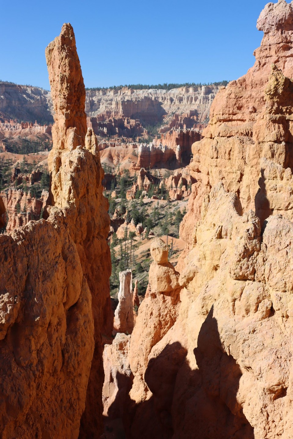 USA - Page - Bryce Canyon NP