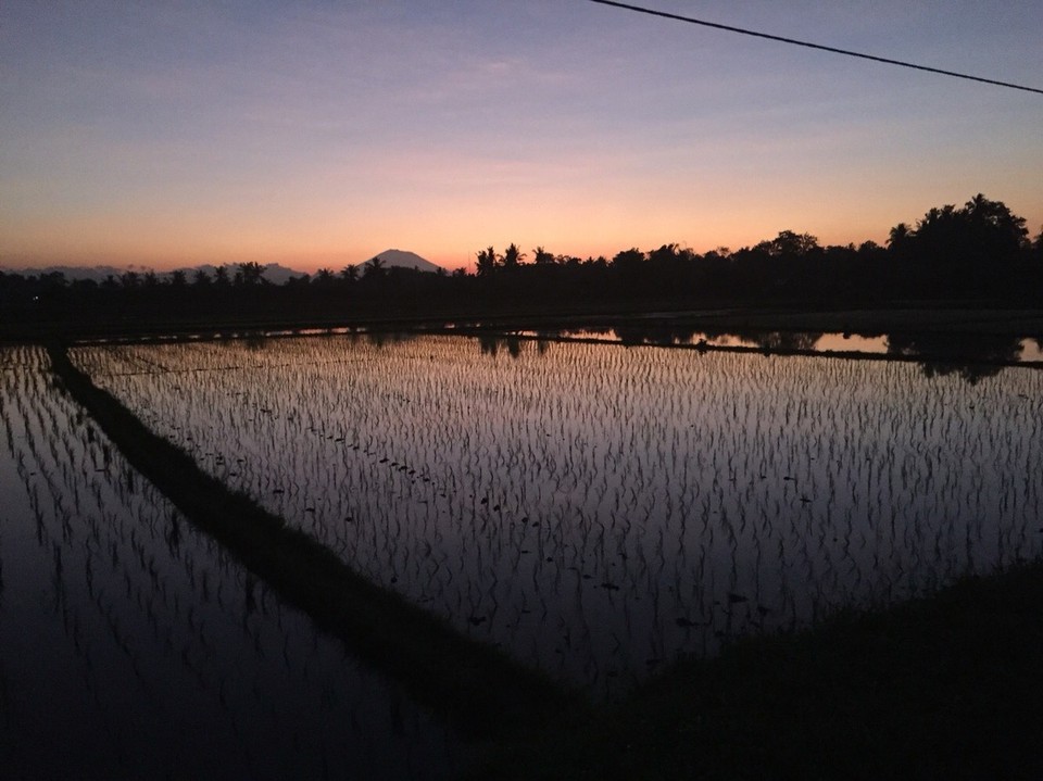 Indonesia - Tanah Lot - Het eerste daglicht over de rijstvelden