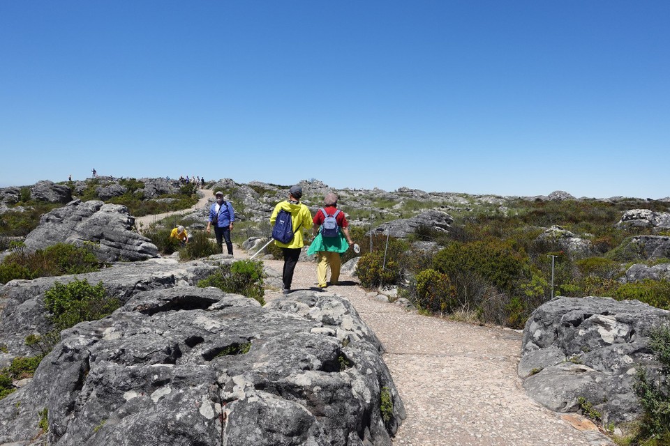 Südafrika - Kapstadt - Tour iwert den Tafelberg