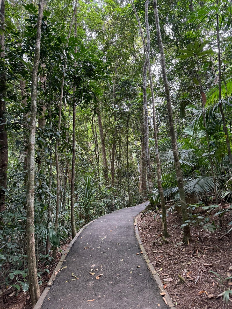Australien - Kuranda - Spaziergang in Karumba.
