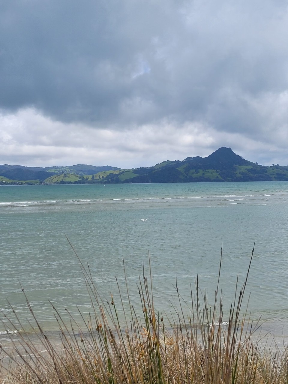 Neuseeland - Cooks Beach - 