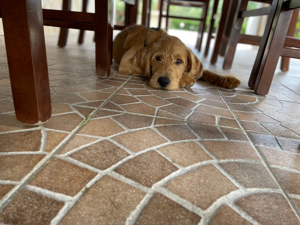 Italien - Manfredonia - Nein ich möchte nicht gehen….