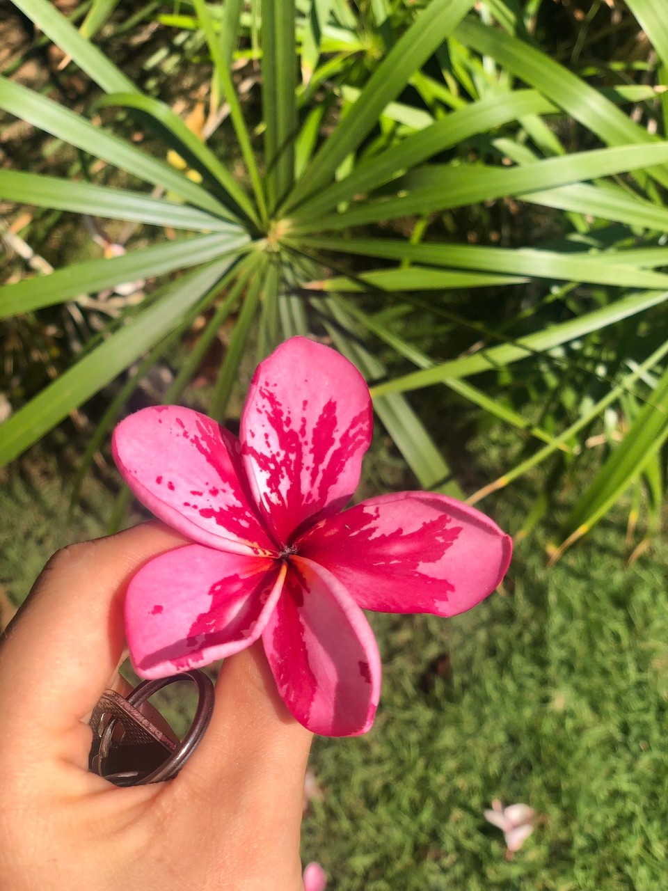 Indonesien - Kabupaten Lombok Utara - 