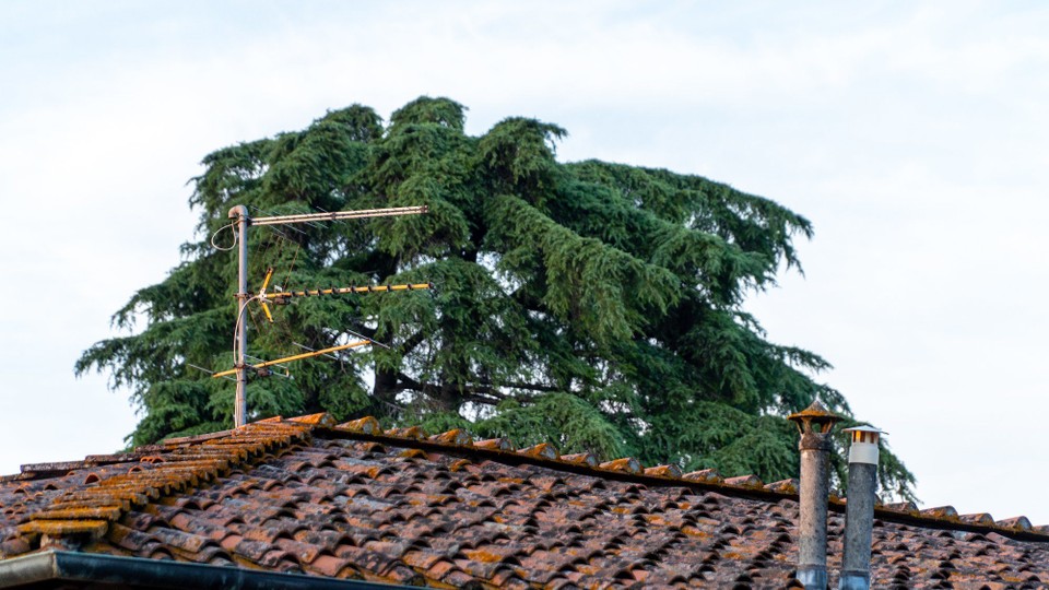 Italien - Lucca - 