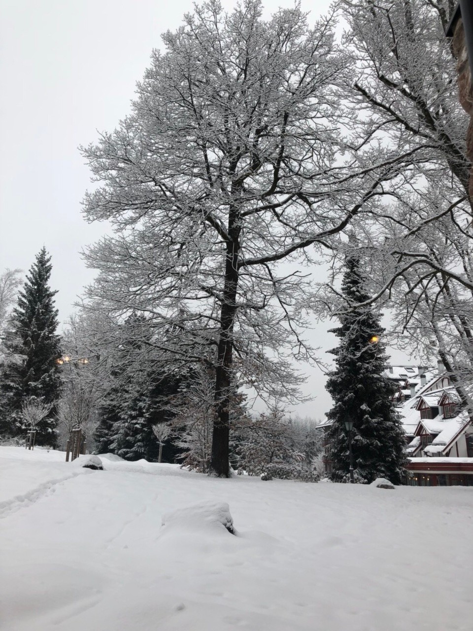 Austria -  - 