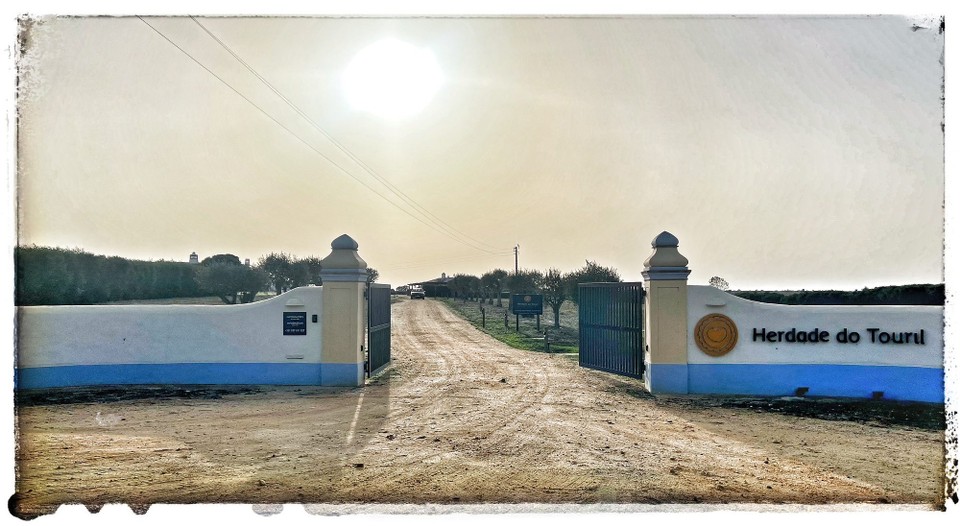 Portugal - Zambujeira do Mar - 