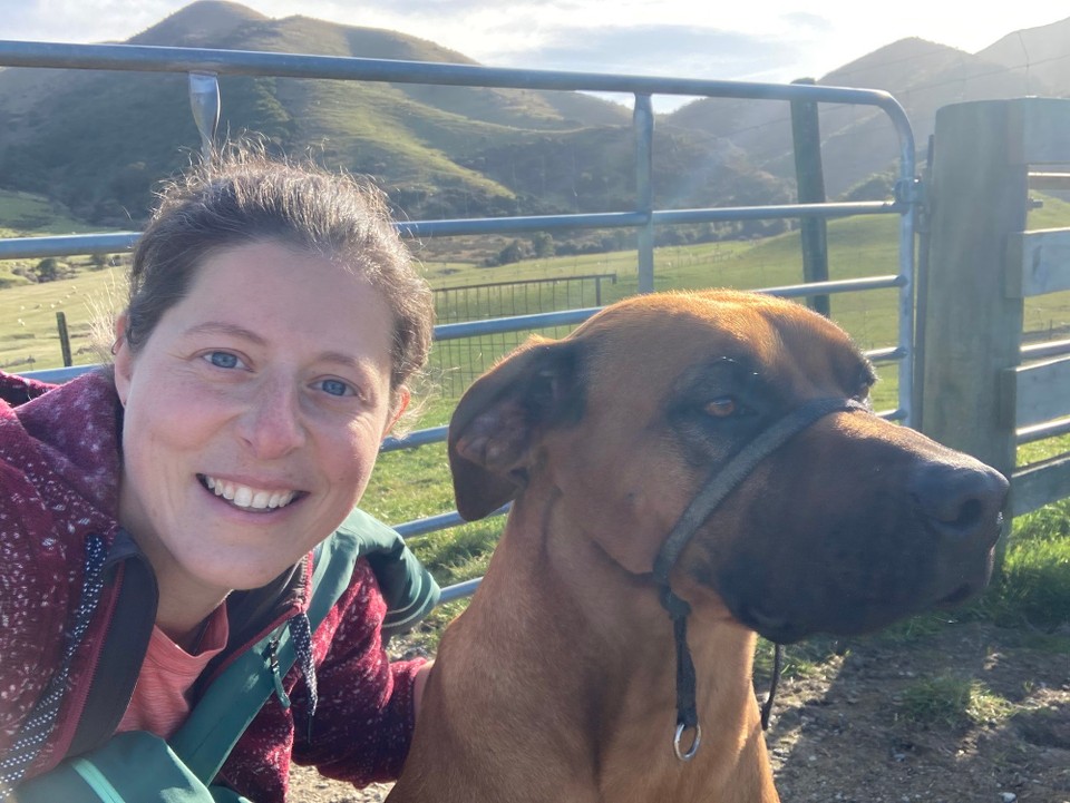 Neuseeland - Geraldine - 