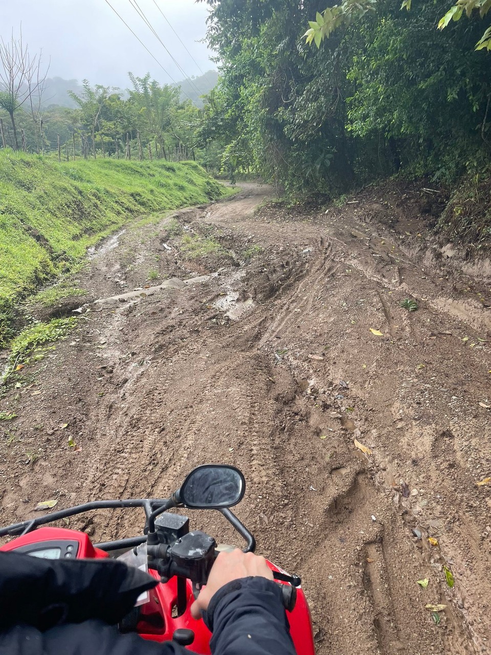Costa Rica -  - … bei diesen Straßenverhältnissen wohl das beste Fortbewegungsmittel 😮