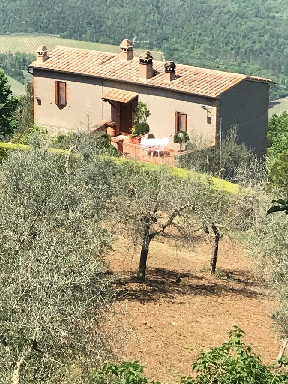 Italien - Montalcino - 