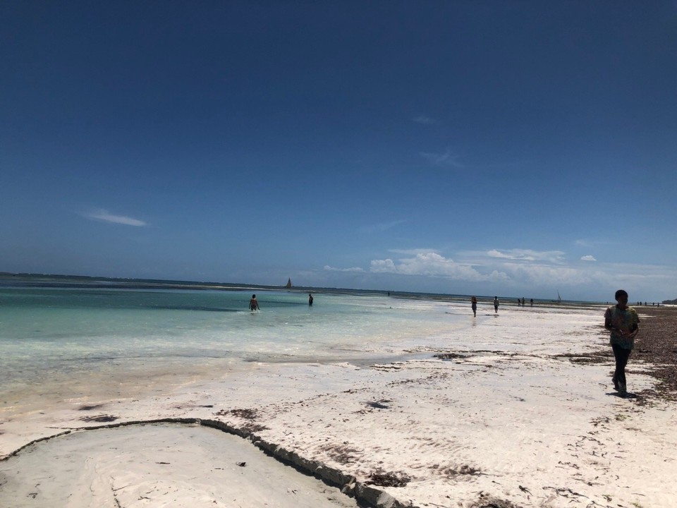 Kenia - Diani Beach - 