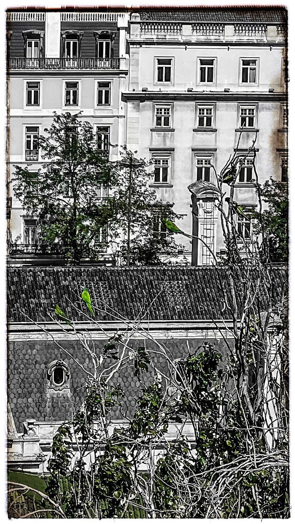 Portugal - Lissabon - 