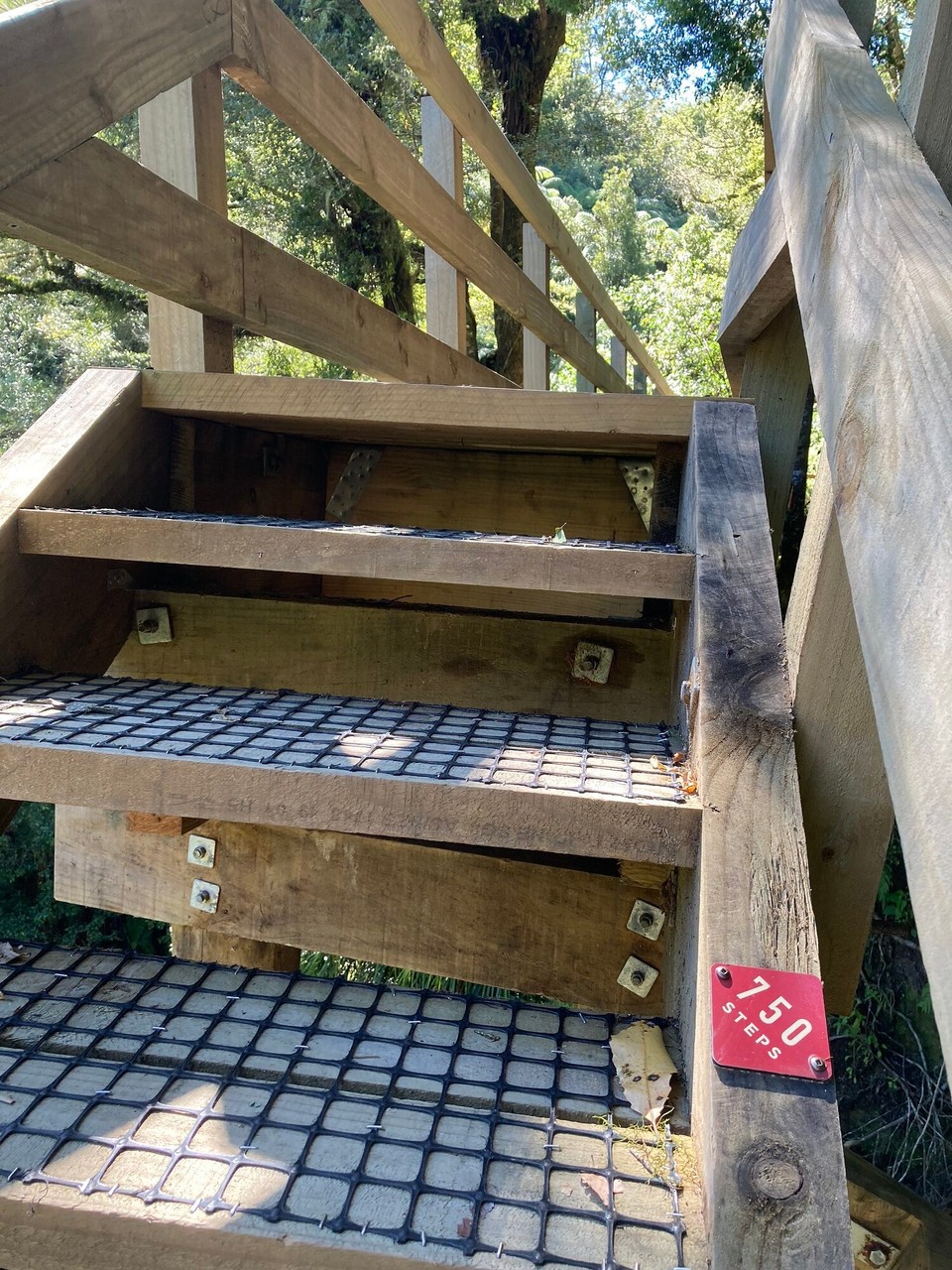 Neuseeland - Omanawa - Heute musste ich nicht mal selber zählen 🤭