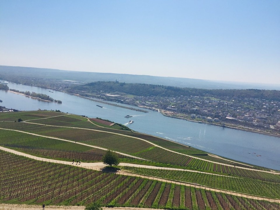 Deutschland - Rüdesheim am Rhein - Blick auf den Rhein vom Niederwald Denkmal