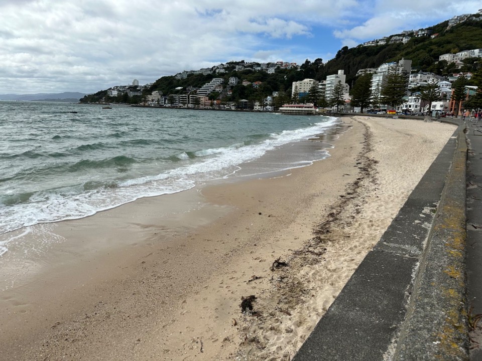 Neuseeland - Wellington - auch schöne Strände gibts in Wellington 