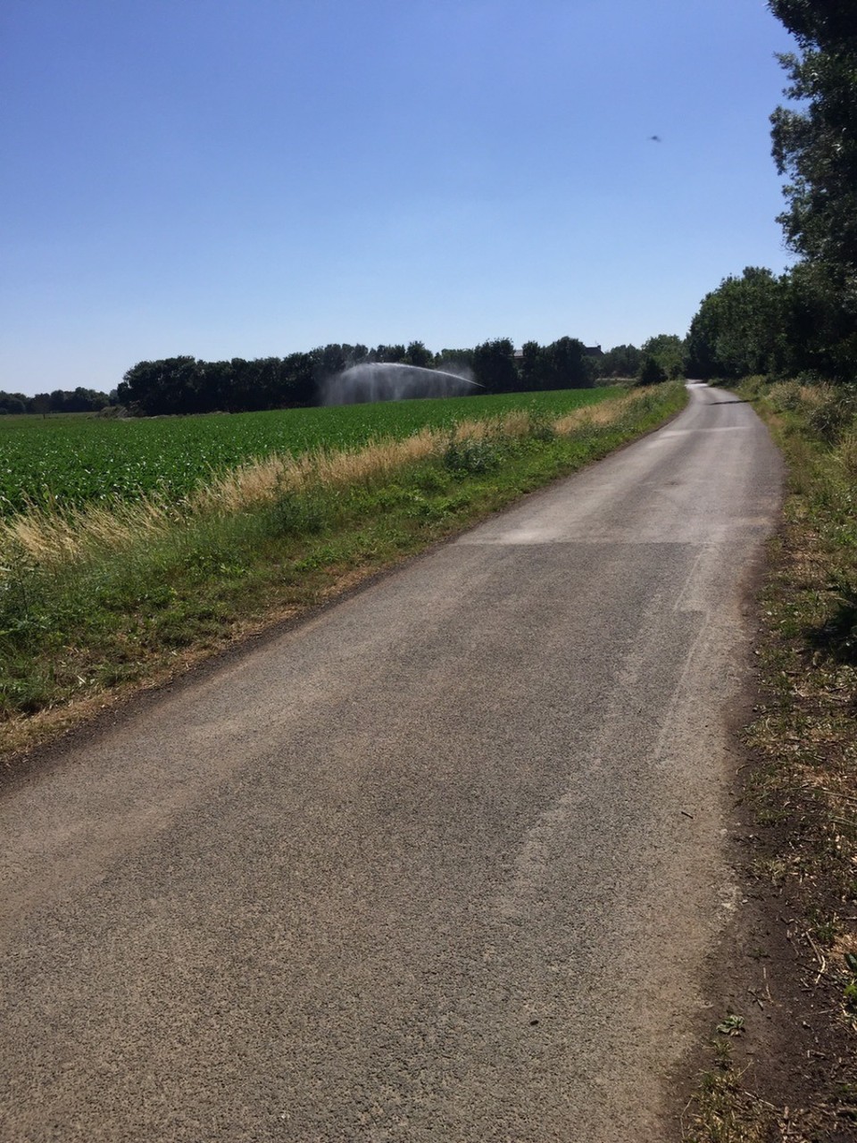 Frankreich - St.-Rémy-la-Varenne - 