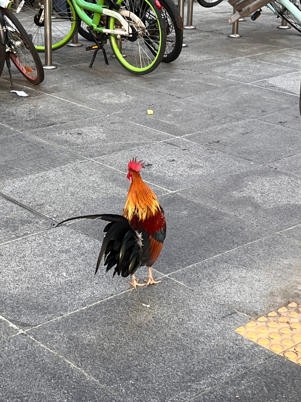 Singapore - Singapore - 