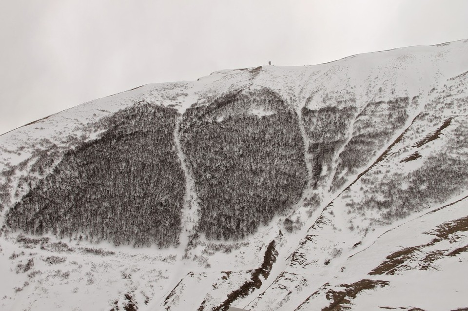 Georgia - Mkinvartsveri - 