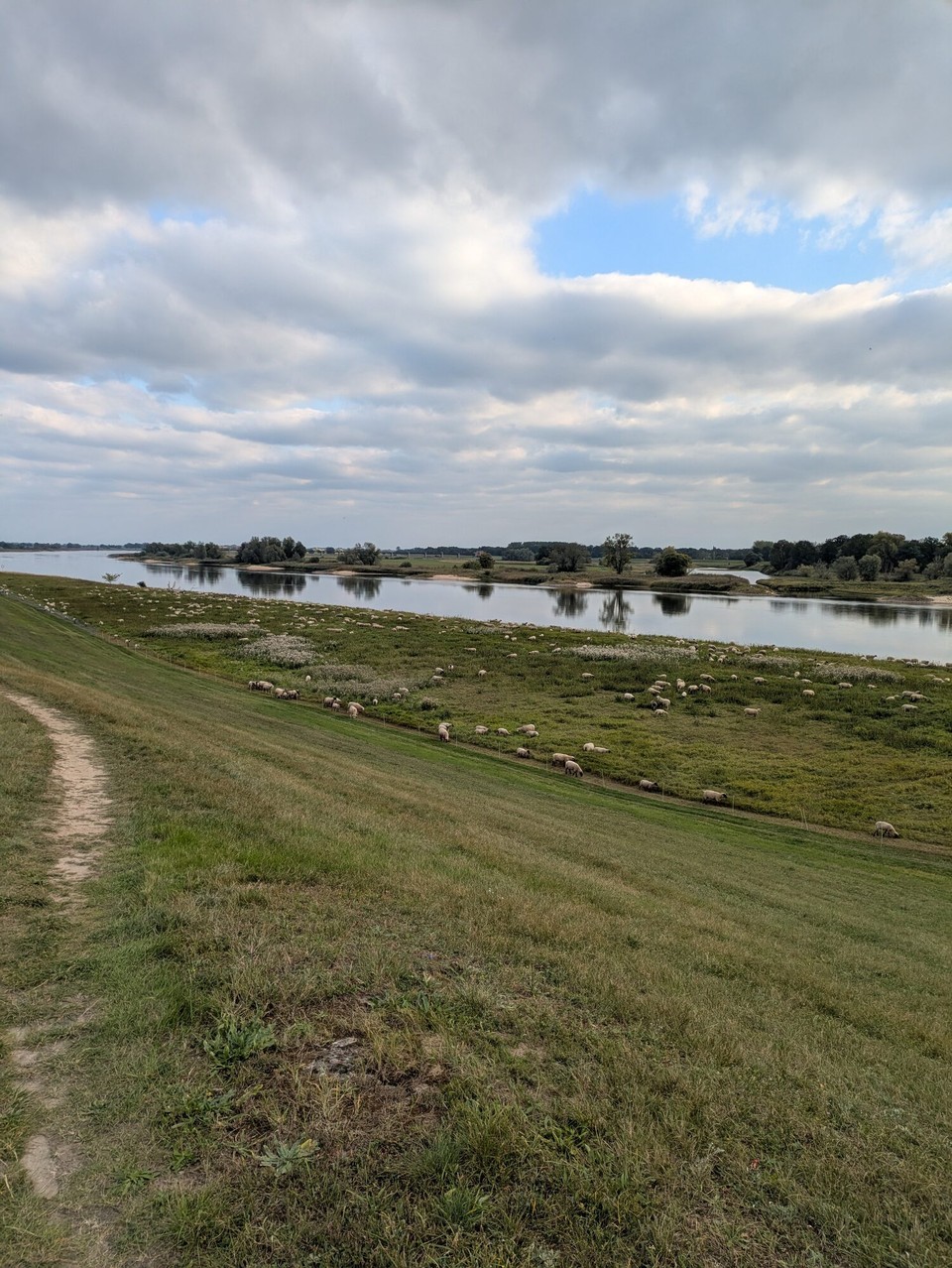 Deutschland - Lenzen (Elbe) - Dieses Stück der Elbe ist mir das liebste. Was für ein Fluss, was für eine Landschaft. Aber dann, 11 Kilometer vor unserem Zielpunkt und eigentlich der Zeit schon etwas der Zeit hinterher, passierte es. Stefans Kette ist gerissen.