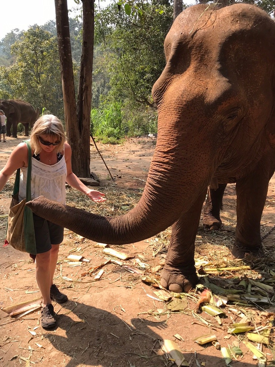 Thailand - Mae Wang - Getting covered in Ely gunk