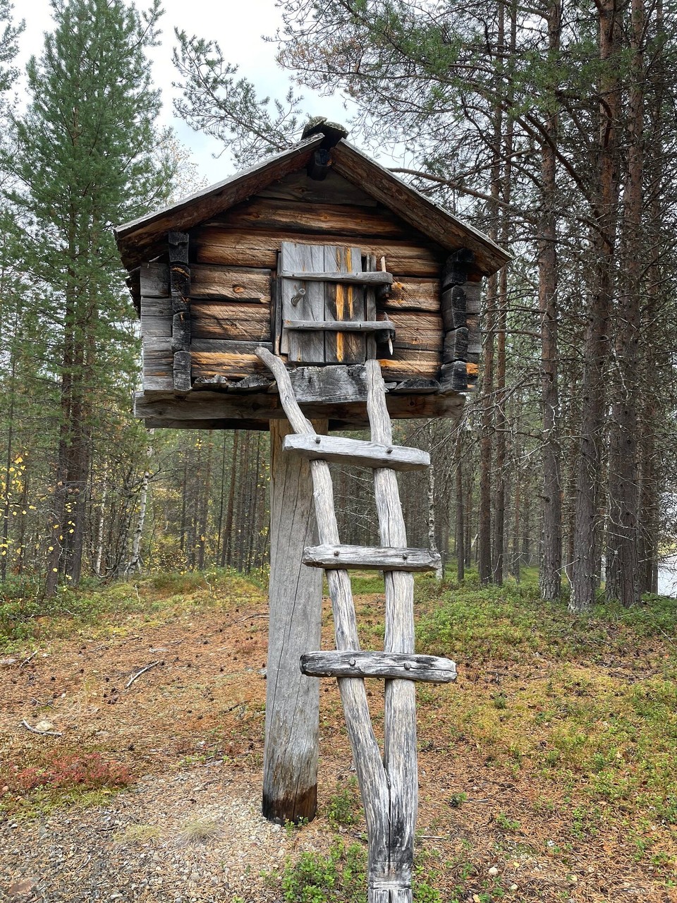 Finnland - Ivalo - 