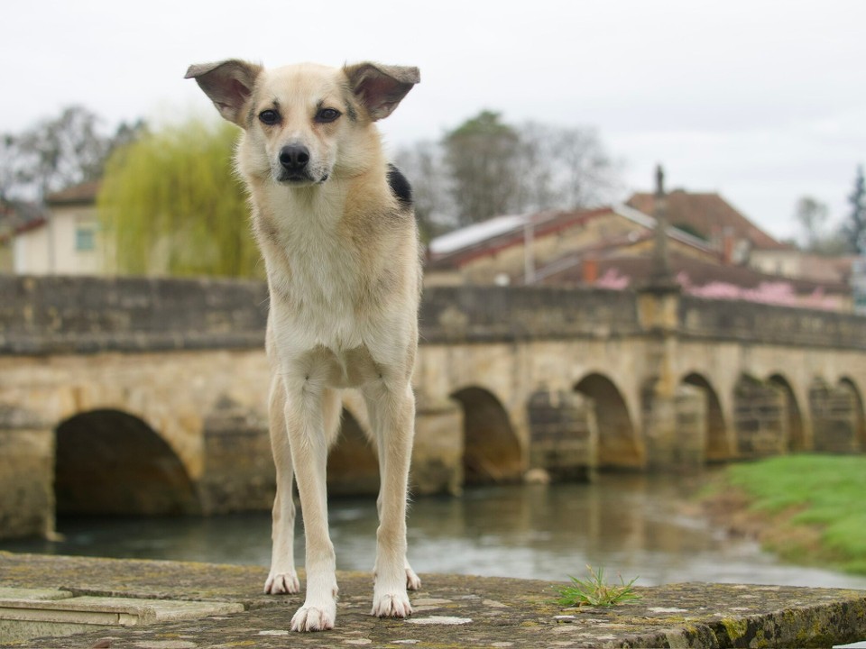 Frankreich - Haironville - 