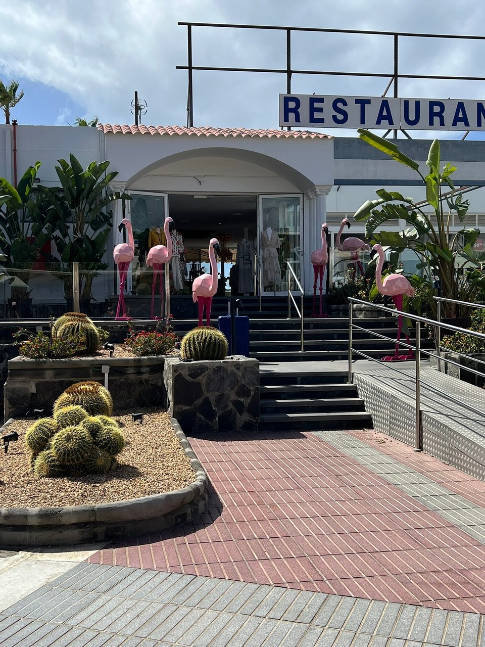 Spanien - Las Palmas de Gran Canaria - Flamingos gibt’s hier auch