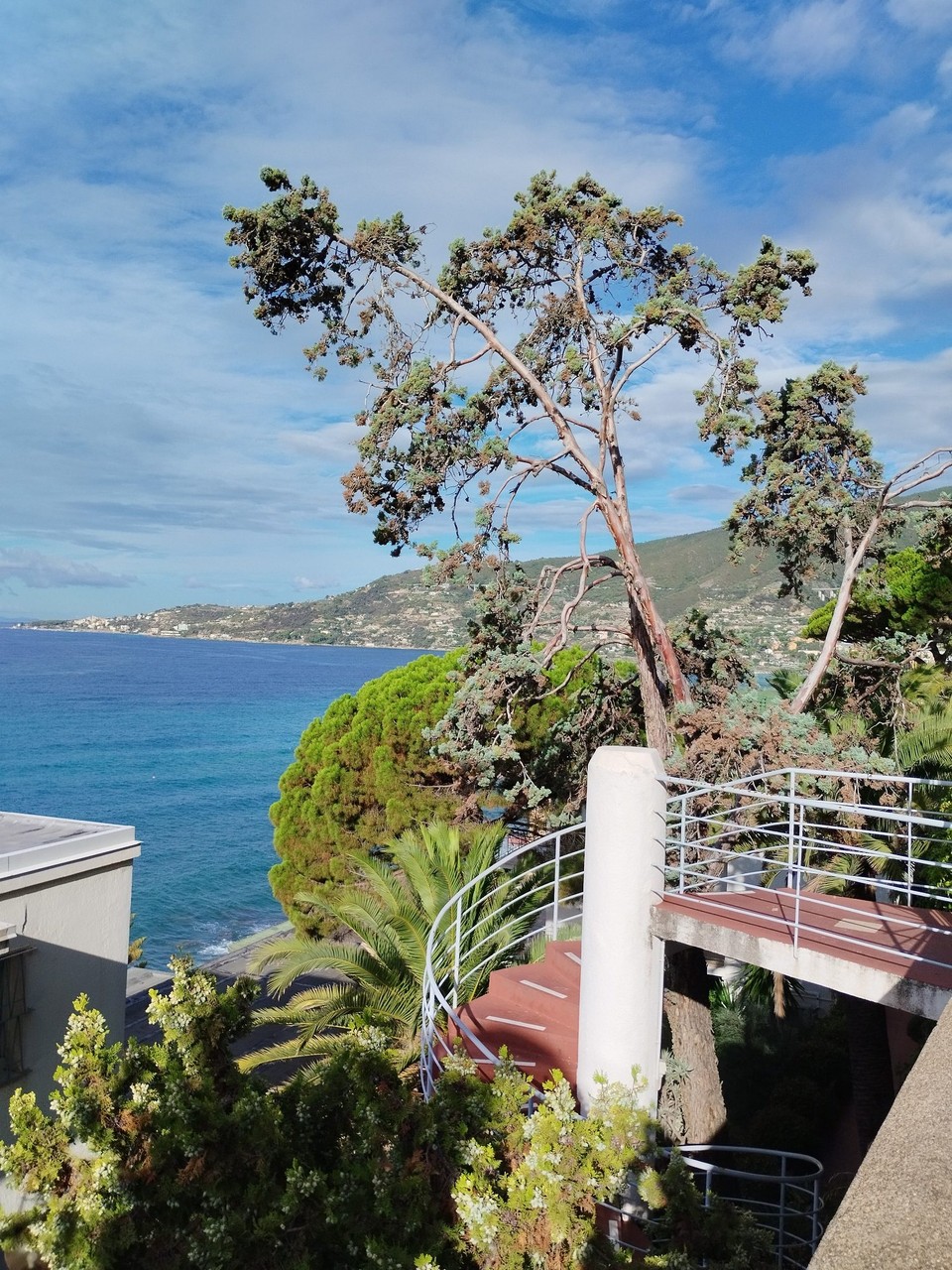 Monaco - Monaco-Ville - 