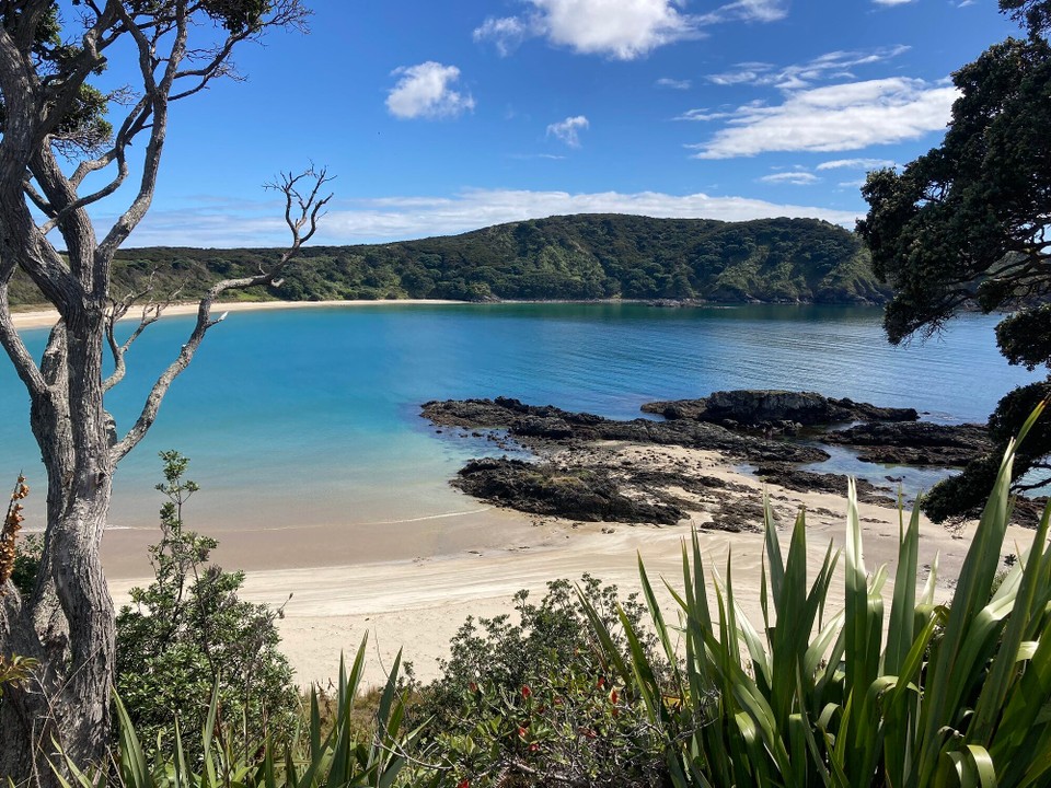 Neuseeland - Karikari Peninsula - 