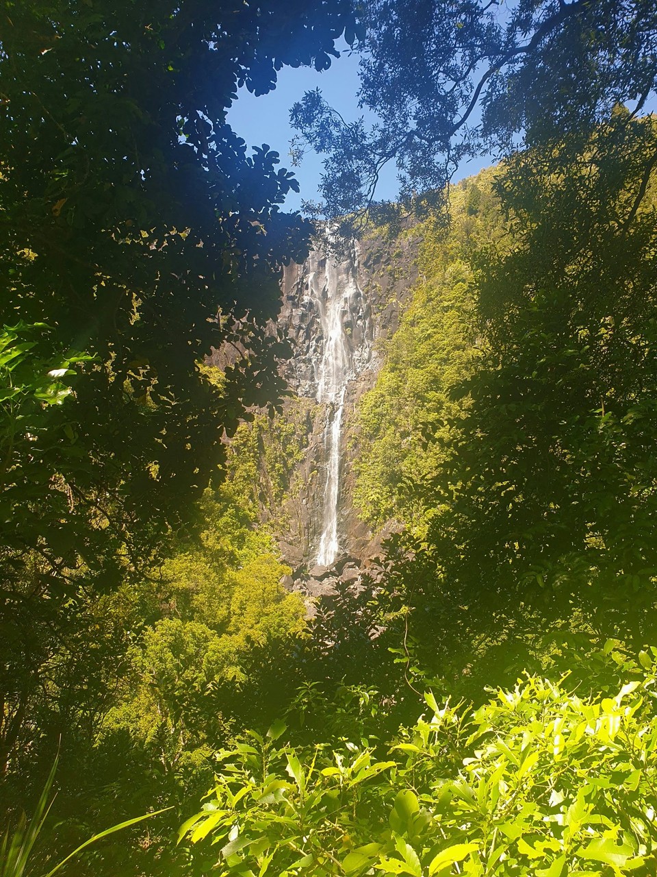 Neuseeland - Arapuni - Wairere.Falls