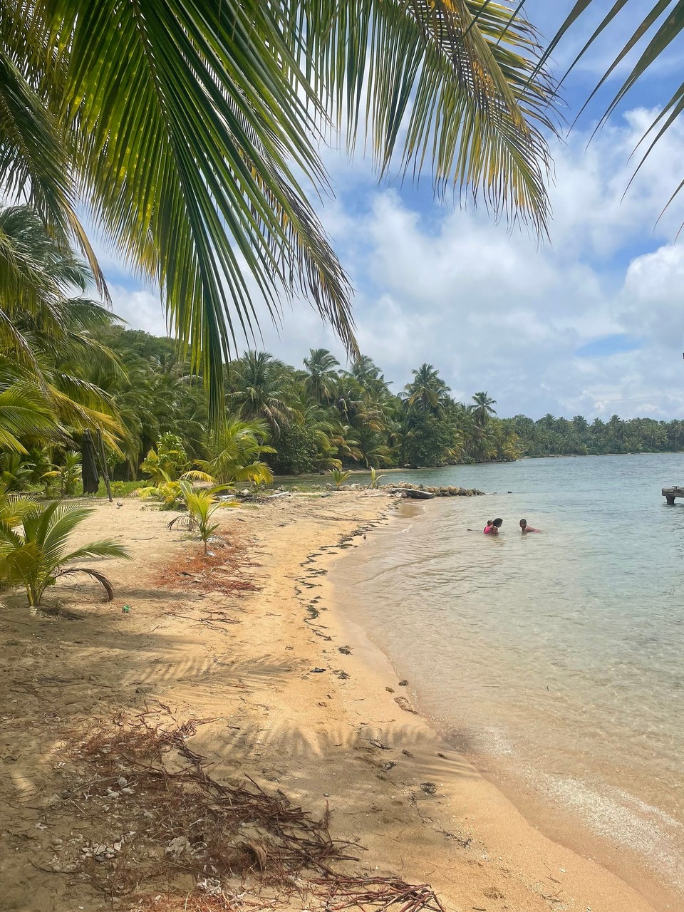 Panama -  - Da durfte ein Ausflug zum Starfish-Beach nicht fehlen 🌊 