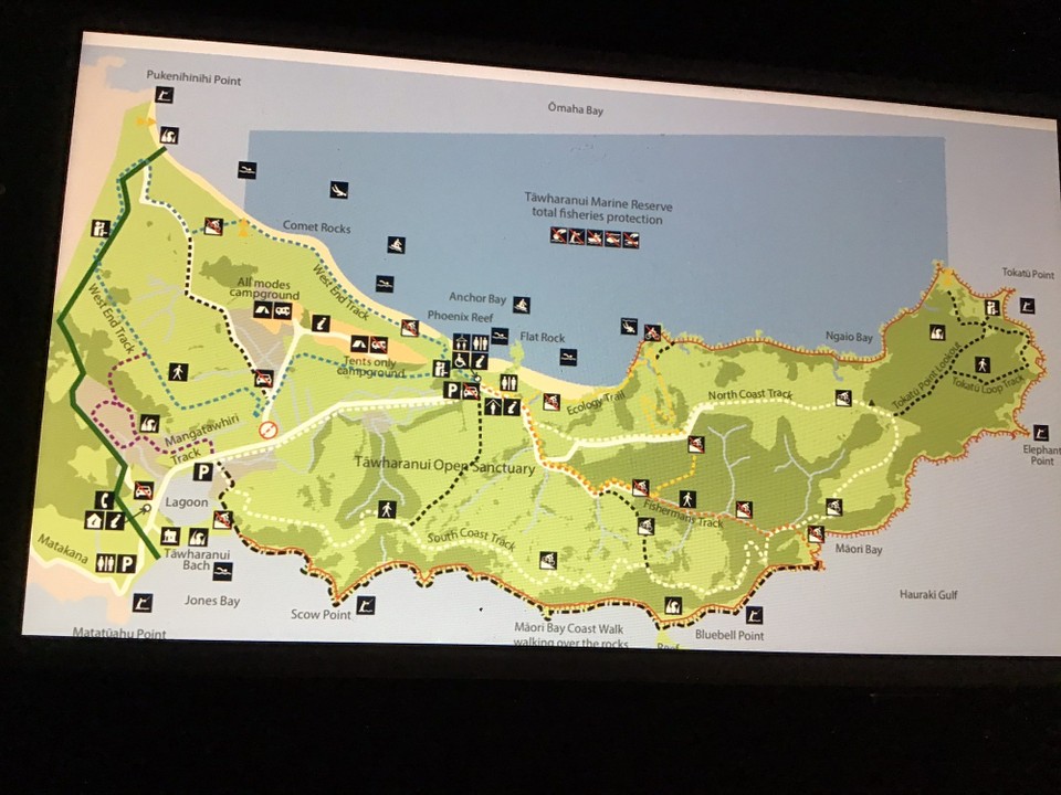 Neuseeland - Tawharanui Peninsula - 