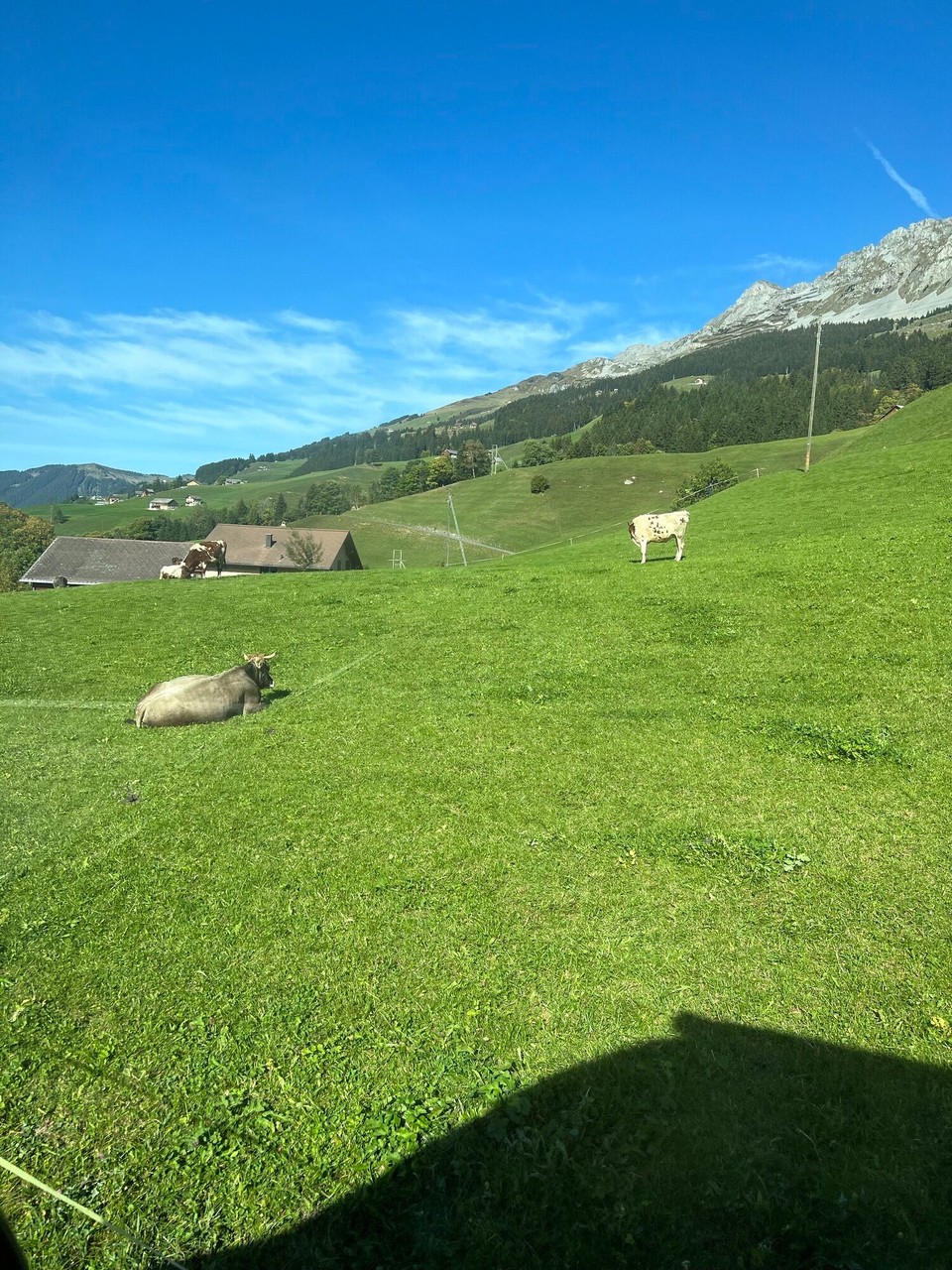 Schweiz - Riehen - 