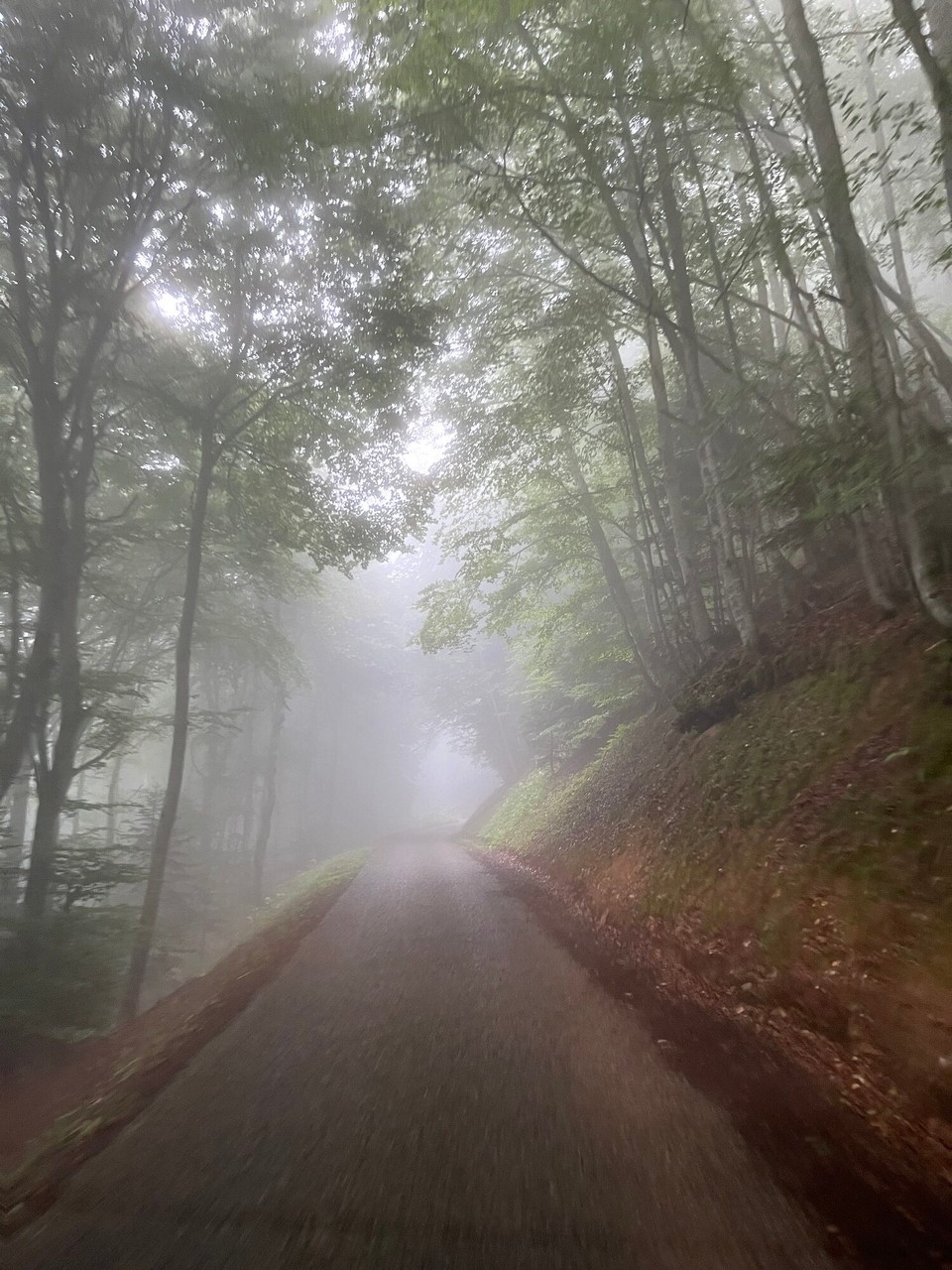 Andorra - Escaldes-Engordany - Unterwegs auf der D20 Route de Corniches