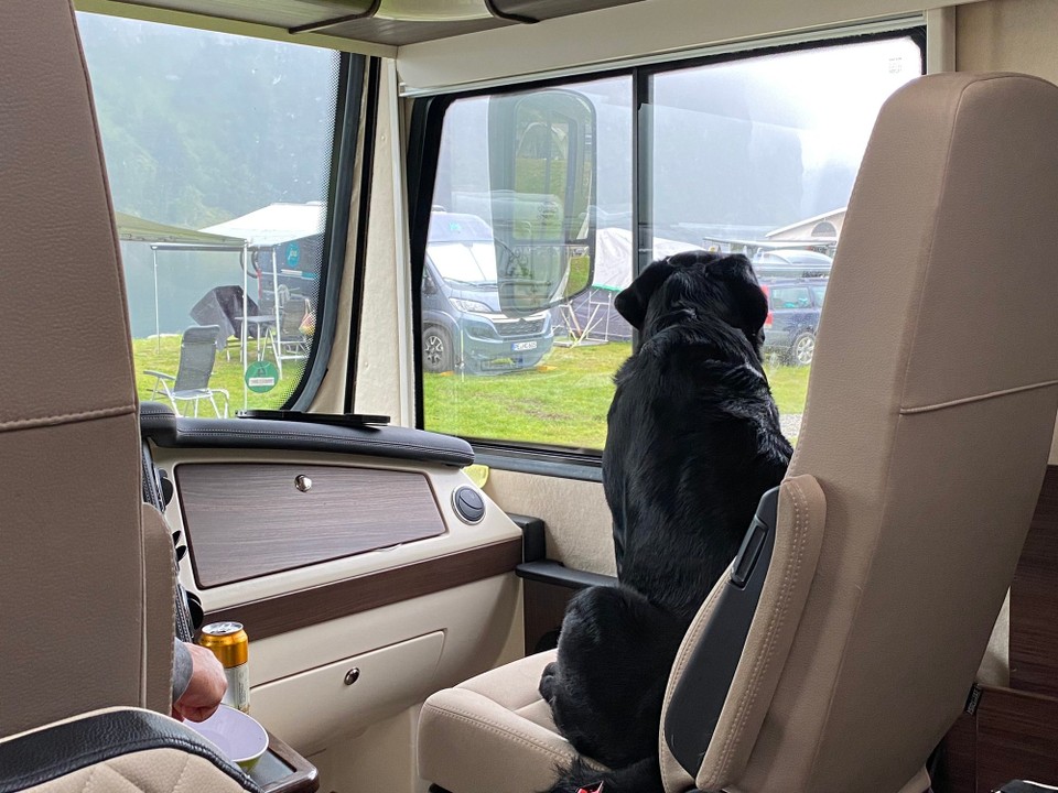 Norwegen - Geiranger - Yac beobachtet die Leute auf dem Platz. 