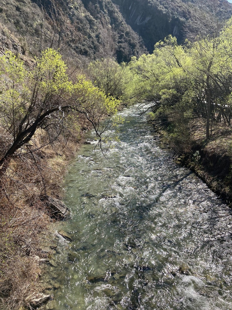 Neuseeland - Arrowtown - 