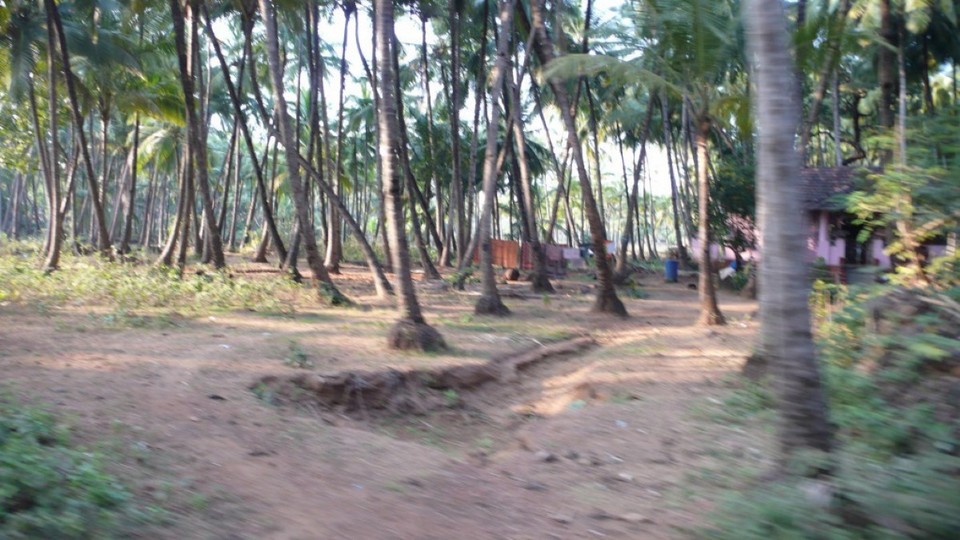 Indien - Agonda Beach - 