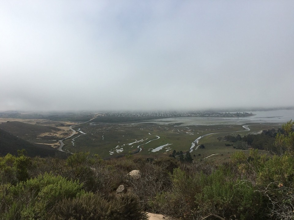 USA - San Luis Obispo - so von der Mitte wenn man rausschaut 