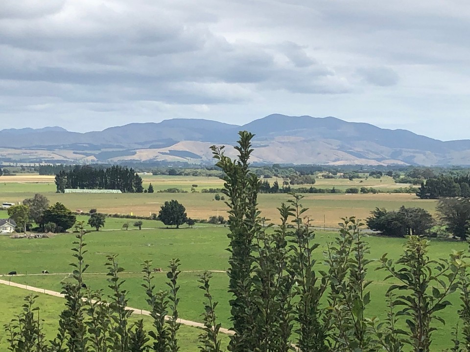 Neuseeland - Martinborough - 