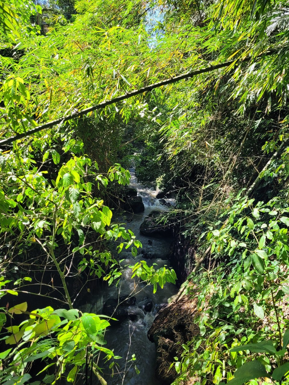 Indonesien - Ubud - 