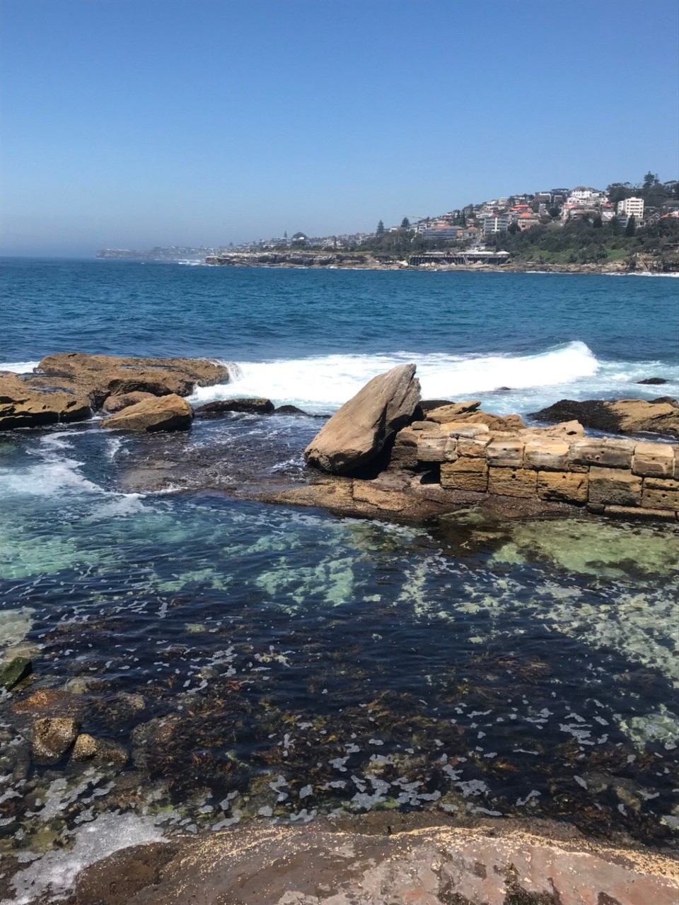 Australien - Coogee - 