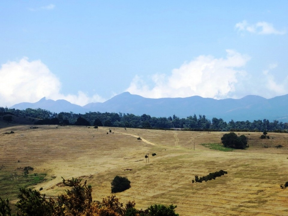 Indien - Sholur - 