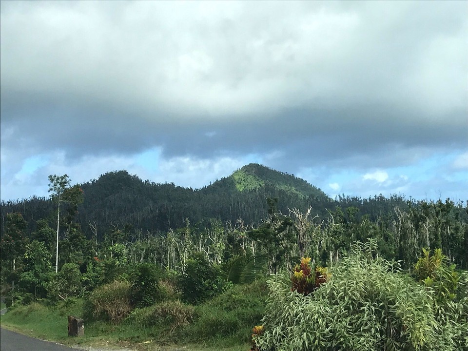Dominica -  - 