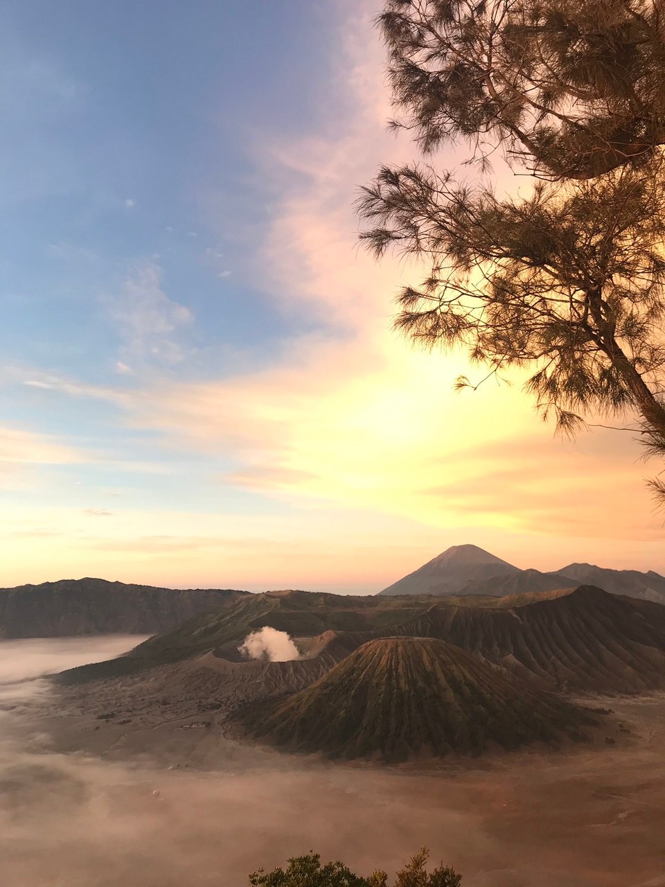 Indonesien - Probolinggo - 
