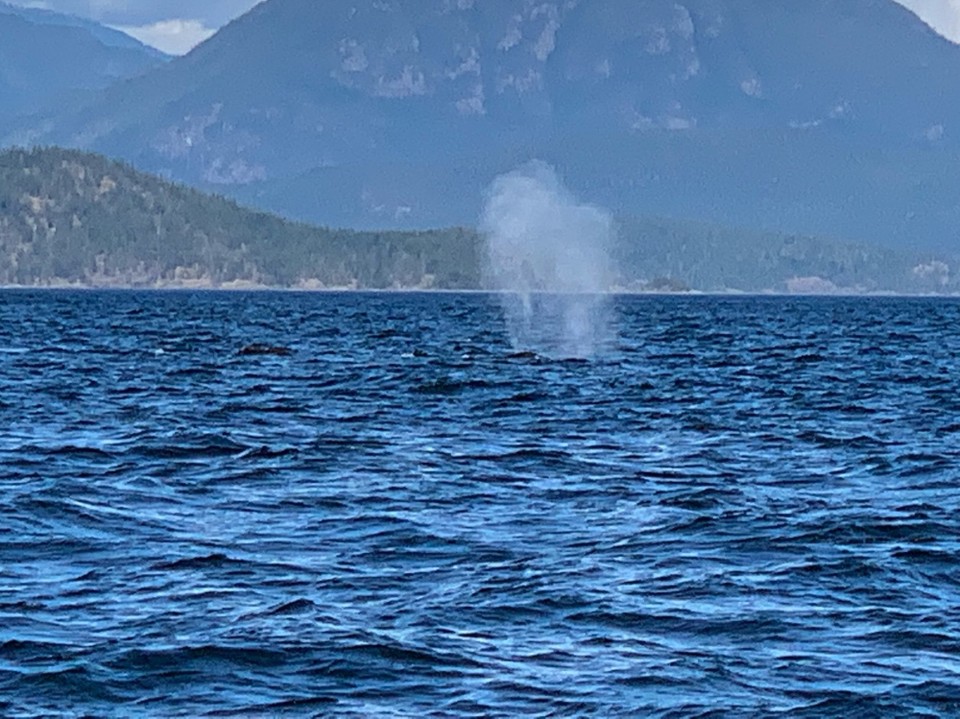 Kanada - Campbell River 11 - 