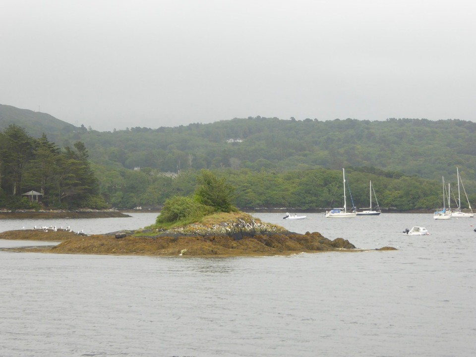 Ireland - Glengarriff - Towards evening the wind died a little, and we headed for shore.