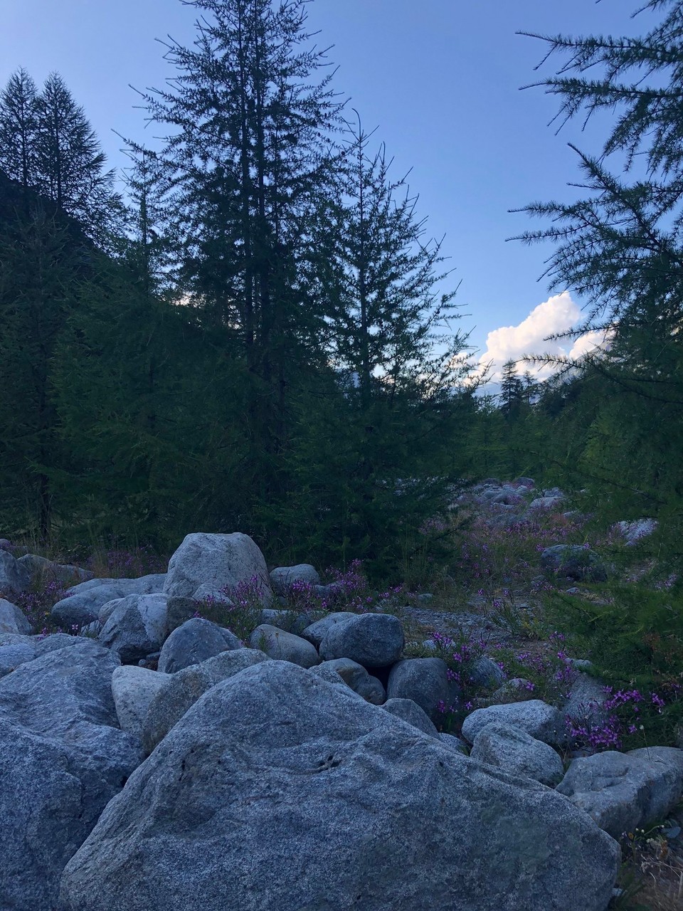 Schweiz - Pontresina - 