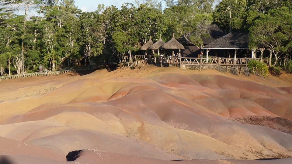 Mauritius -  - Was die Natur so alles kann