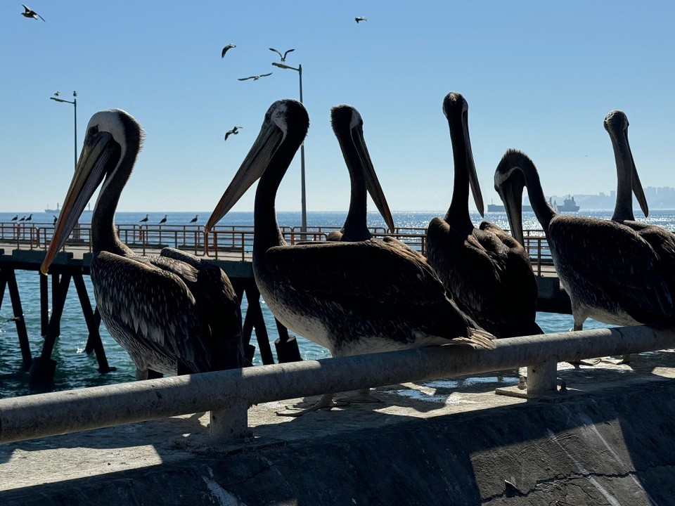 Chile - Santiago de Chile - 