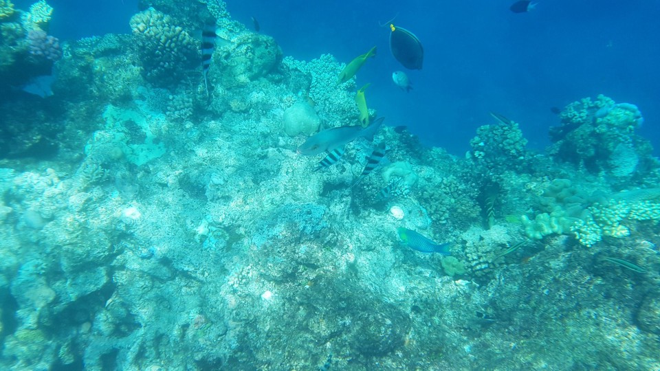 Australia - Cairns - 